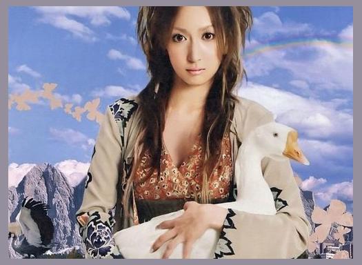 Kokia